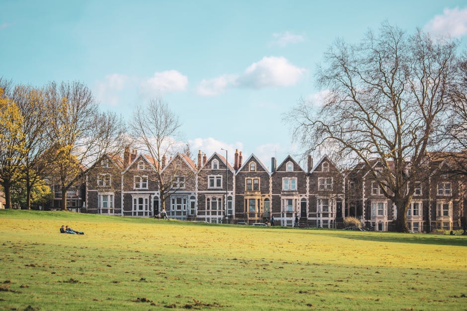 A spacious, grassy public park area with well-maintained, lush green turf stretching across the foreground. In the middle distance, two individuals are lying on the grass, possibly relaxing or enjoying leisure time. The background features a row of multi-story Victorian-style terraced houses constructed from dark brick with white window frames and decorative elements, aligned along a quiet street. A large, leafless tree with sprawling branches stands prominently on the right side, indicating a seasonal change, and other trees with sparse foliage are visible on the left, adding variation to the neighborhood's tree line. The sky overhead is bright with a few scattered white clouds, suggesting clear weather. The scene reflects a peaceful residential environment with an open park, often associated with community spaces managed and maintained independently, such as those serviced by private rubbish removal companies like Rubbish Removal Catford, supporting the upkeep of local green areas and surrounding properties.